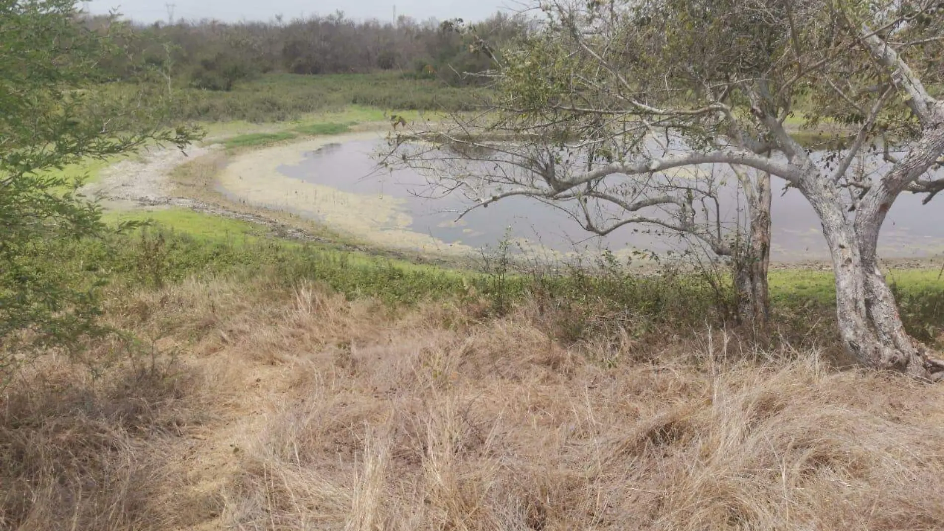 La presas estan casi vacias así como las ollas de agua